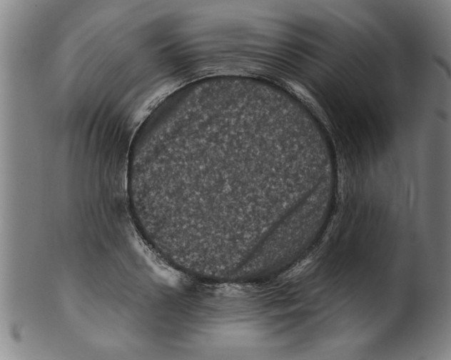 X0000099470938200806061216