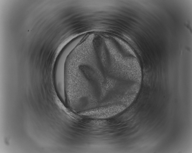 X0000099470939200806061216