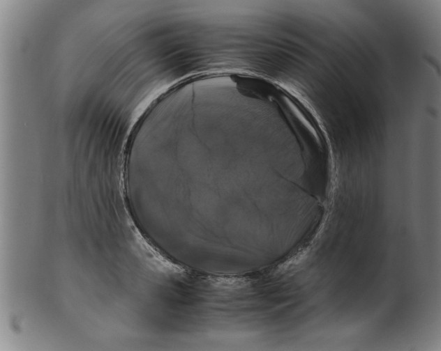 X0000099470941200806061216