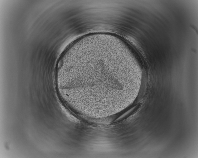 X0000099470942200806061216