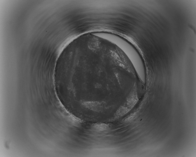 X0000099470943200806061216