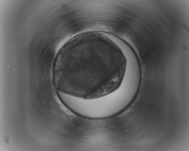 X0000099470944200806061216