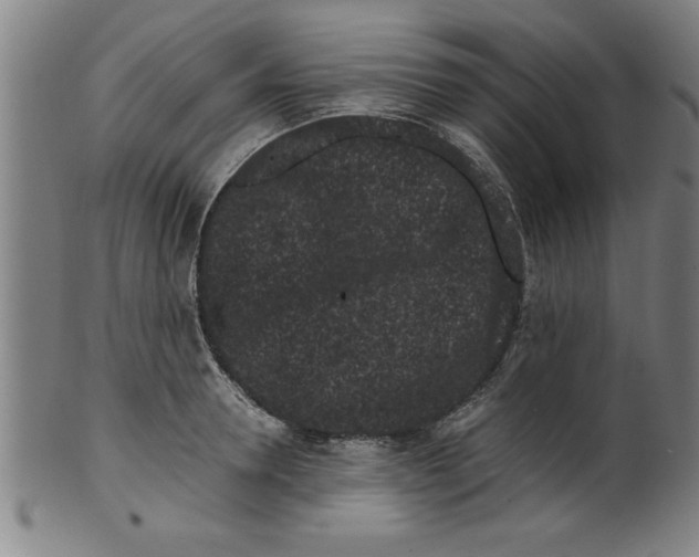 X0000099470946200806061216