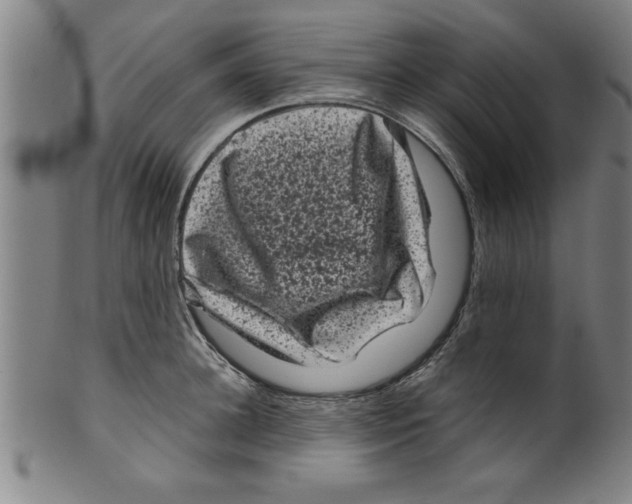 X0000099470948200806061217