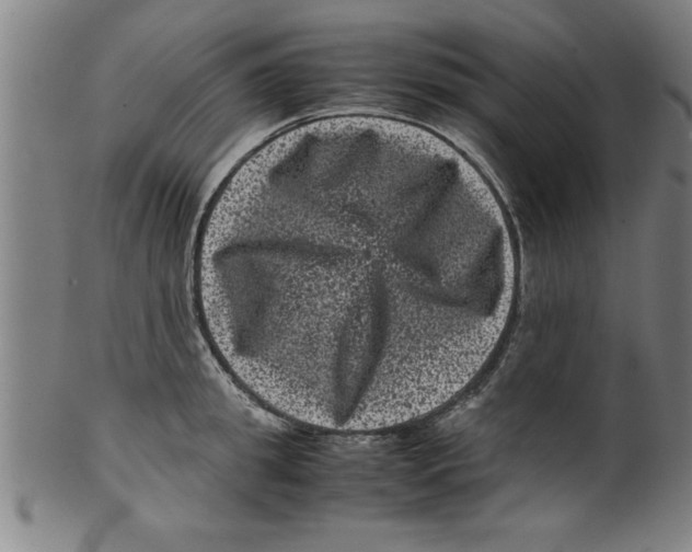 X0000099470949200806061217