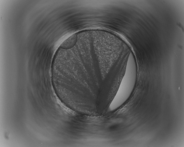 X0000099470951200806061217