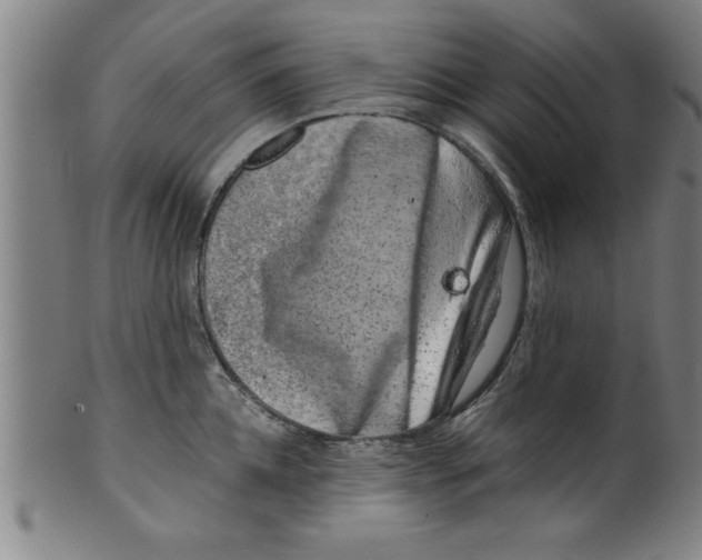 X0000099470952200806061217