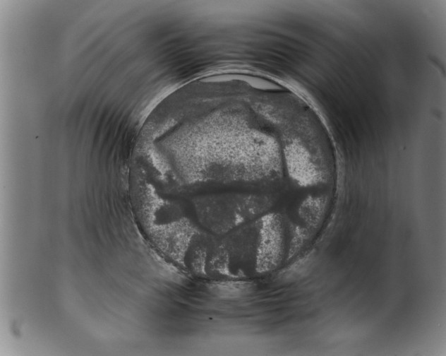 X0000099470953200806061217