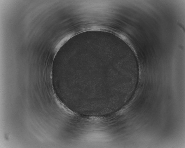 X0000099470954200806061217