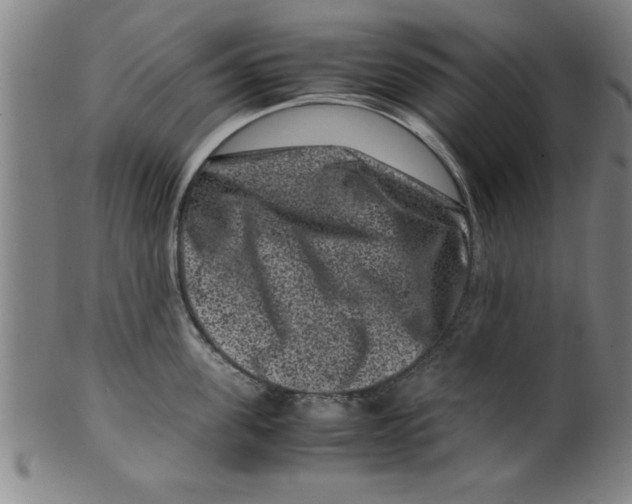 X0000099470955200806061217