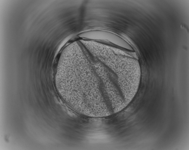 X0000099470956200806061217