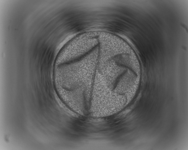 X0000099470957200806061217