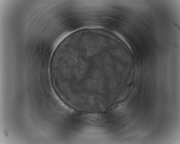 X0000099470959200806061217