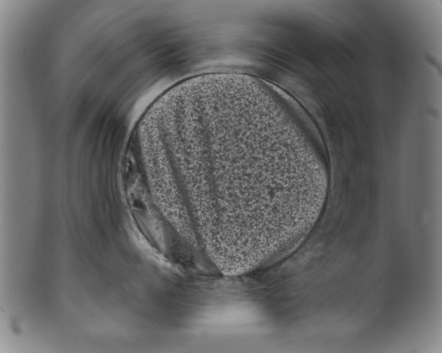 X0000099470960200806061217