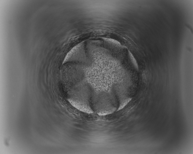 X0000099470961200806061216