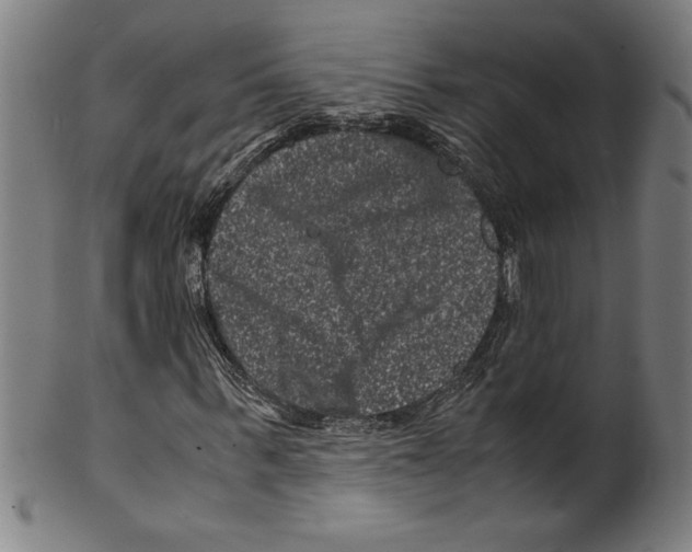 X0000099470963200806061216