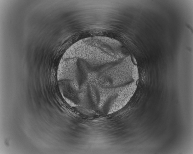 X0000099470964200806061216