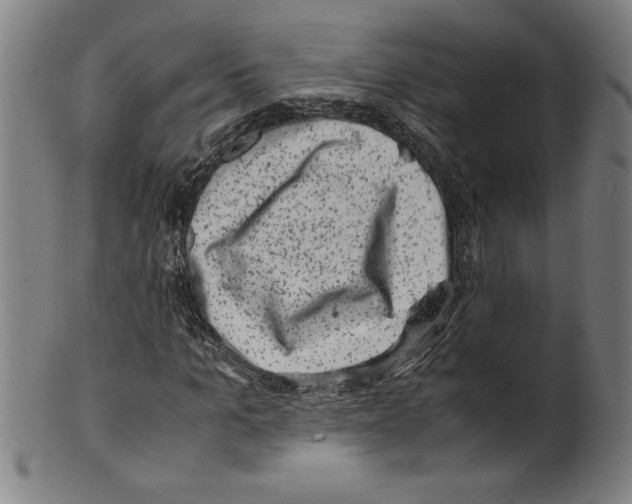 X0000099470965200806061216