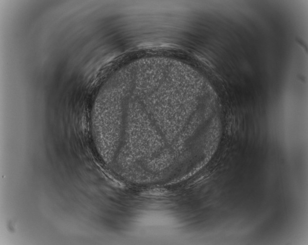 X0000099470966200806061216