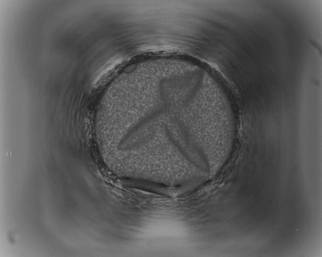 X0000099470967200806061216