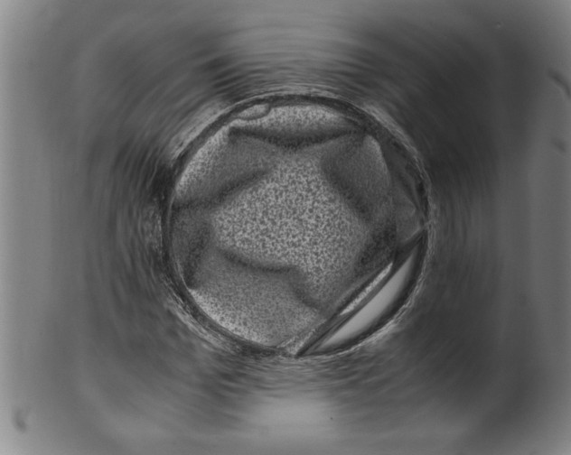 X0000099470969200806061216