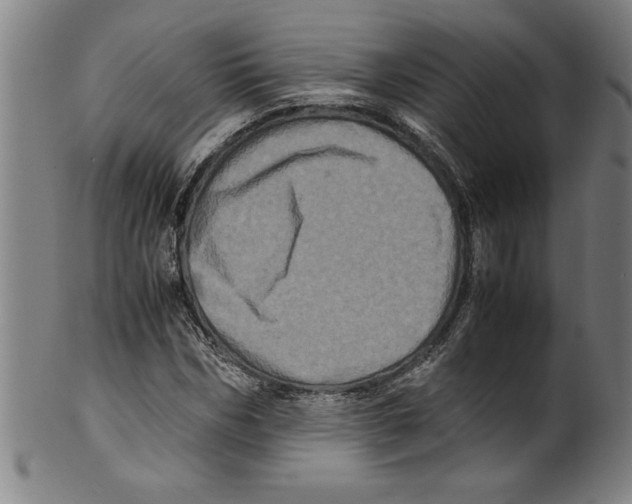 X0000099470970200806061216