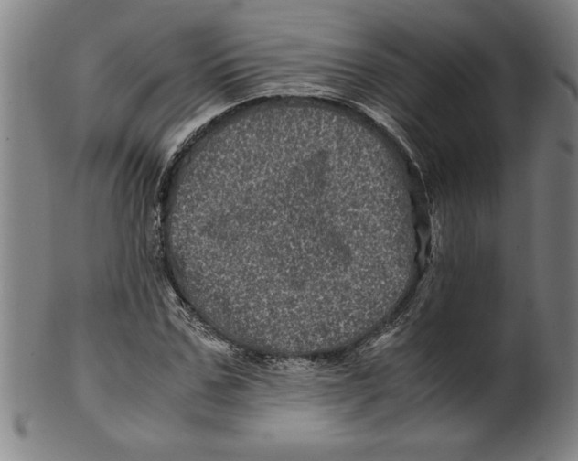 X0000099470971200806061216