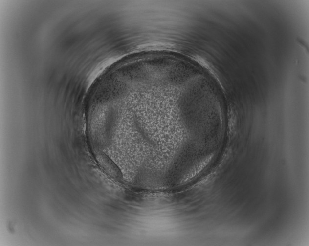 X0000099470973200806061216