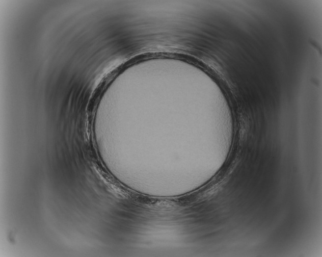 X0000099470974200806061216