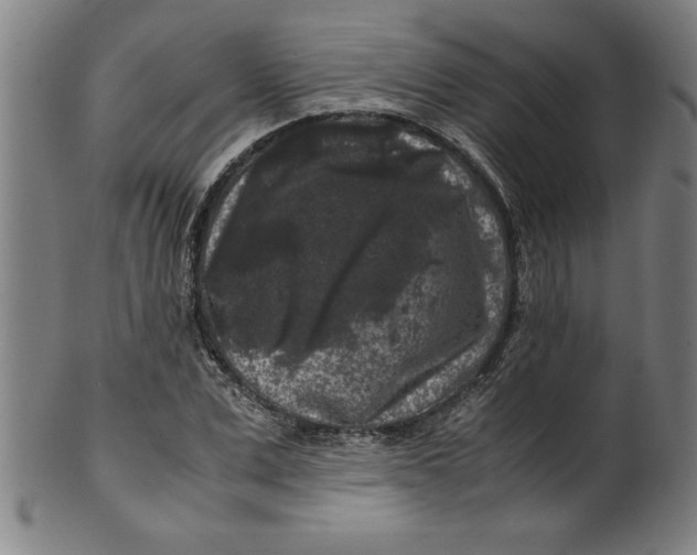 X0000099470975200806061216