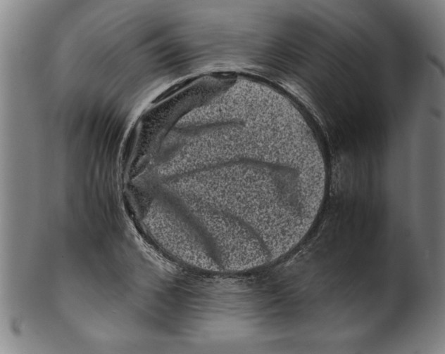 X0000099470976200806061216