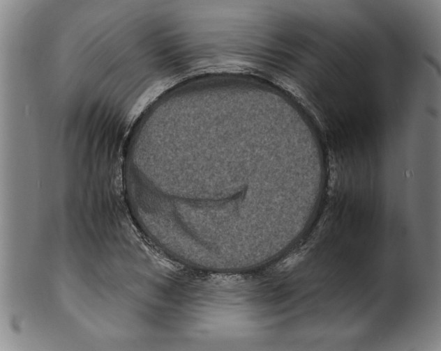 X0000099470978200806061216