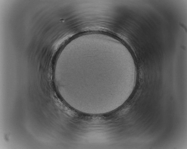 X0000099470979200806061216