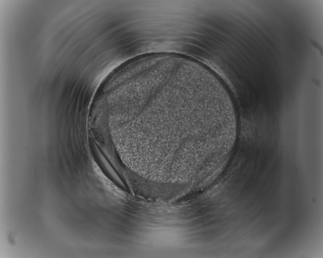 X0000099470980200806061216