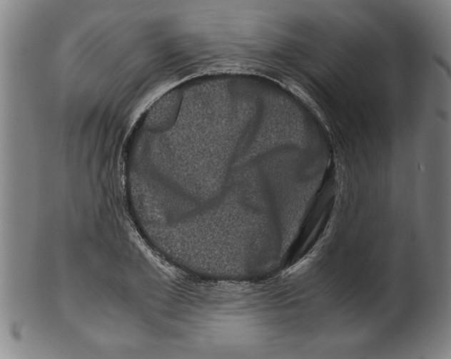 X0000099470981200806061216