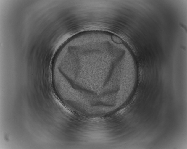 X0000099470982200806061216