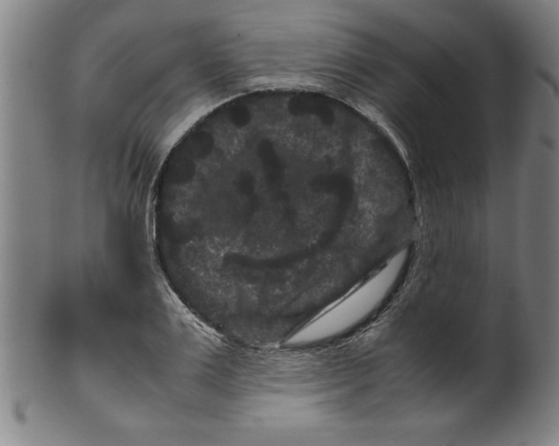 X0000099470983200806061216