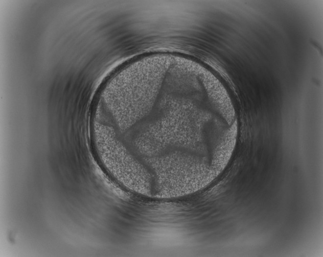 X0000099470984200806061215