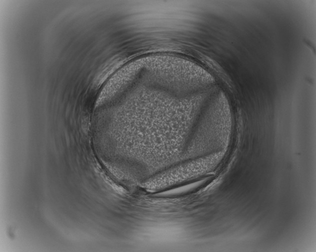 X0000099470985200806061215