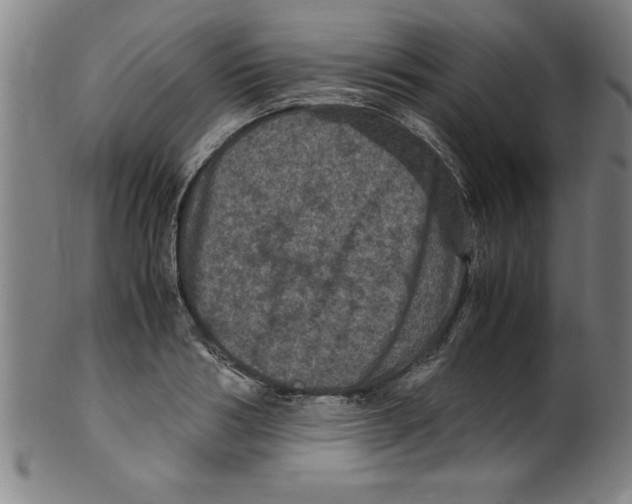 X0000099470986200806061215