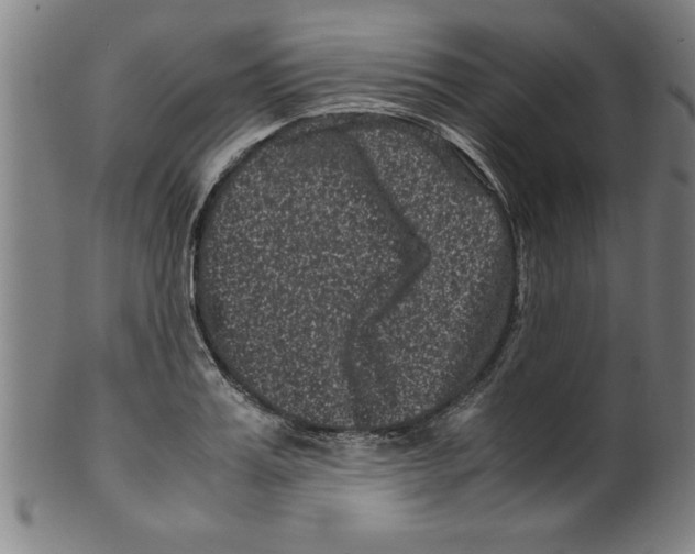 X0000099470987200806061215