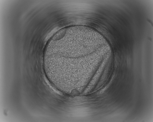 X0000099470989200806061215