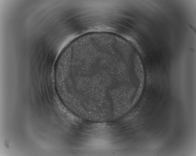 X0000099470990200806061215