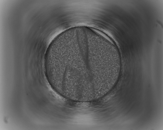 X0000099470991200806061215