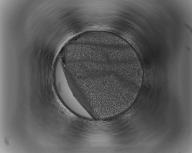 X0000099470992200806061215