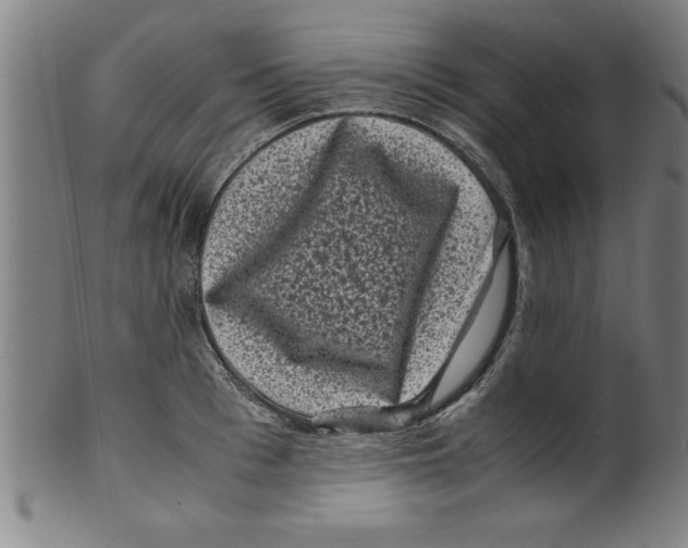 X0000099470993200806061215