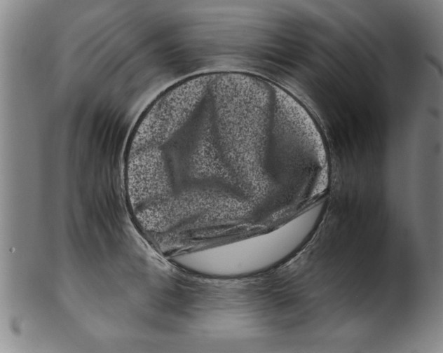 X0000099470996200806061215