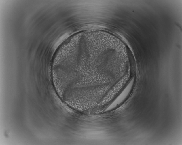 X0000099470997200806061215