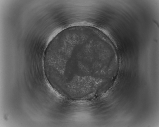 X0000099470998200806061215