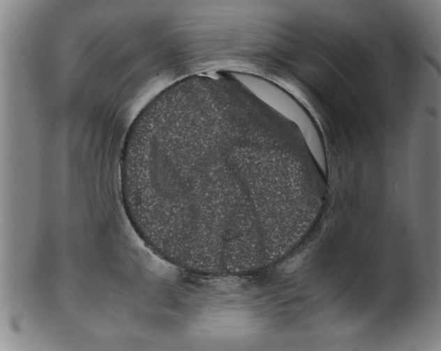 X0000099470999200806061215